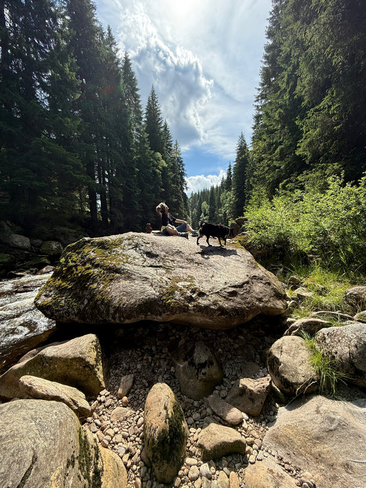 Proč je pro nás příroda tak důležitá (a naši psi to vědí dávno)